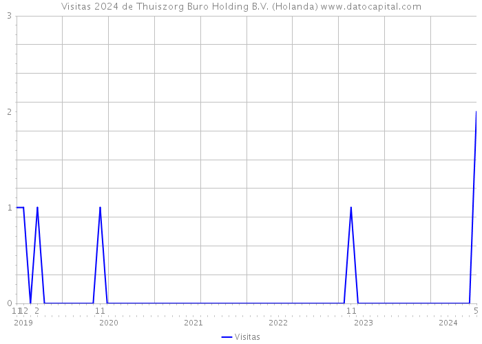 Visitas 2024 de Thuiszorg Buro Holding B.V. (Holanda) 