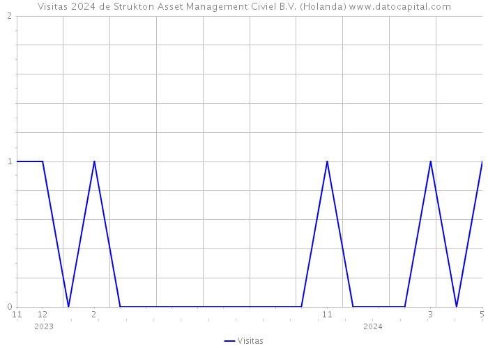 Visitas 2024 de Strukton Asset Management Civiel B.V. (Holanda) 