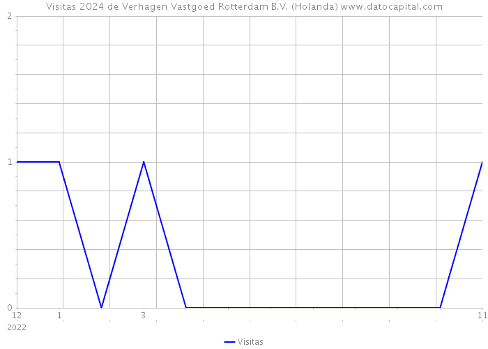 Visitas 2024 de Verhagen Vastgoed Rotterdam B.V. (Holanda) 