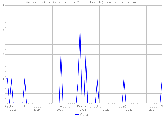 Visitas 2024 de Diana Siebrigje Molijn (Holanda) 