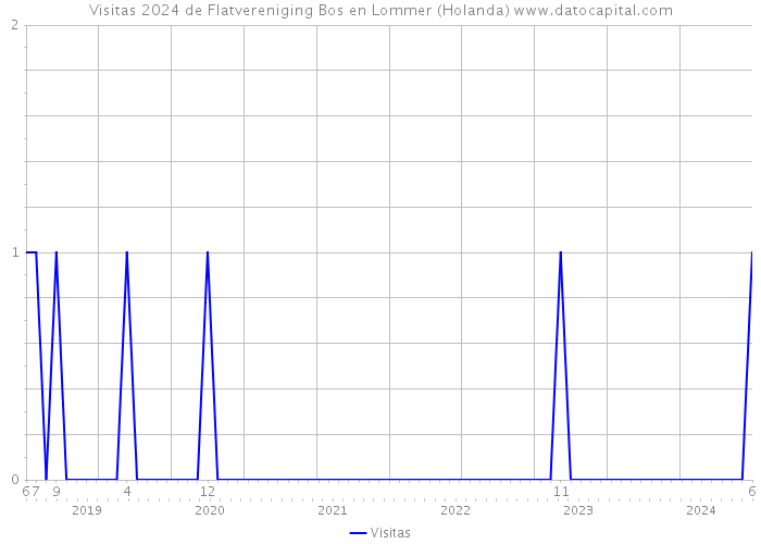 Visitas 2024 de Flatvereniging Bos en Lommer (Holanda) 