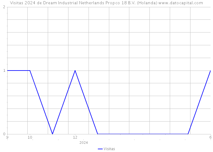 Visitas 2024 de Dream Industrial Netherlands Propco 18 B.V. (Holanda) 