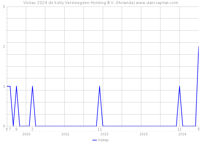 Visitas 2024 de Kelly Versteegden Holding B.V. (Holanda) 