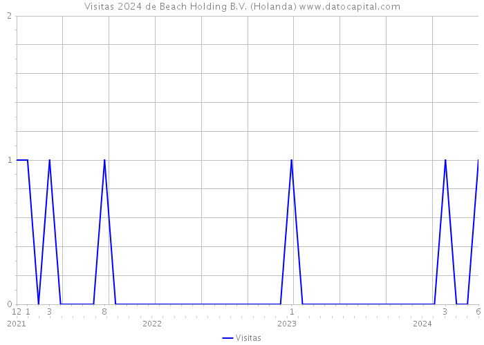 Visitas 2024 de Beach Holding B.V. (Holanda) 