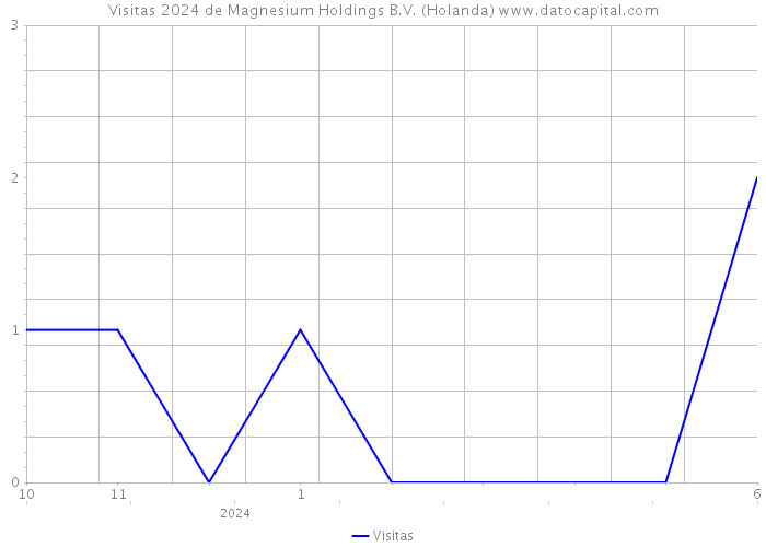Visitas 2024 de Magnesium Holdings B.V. (Holanda) 