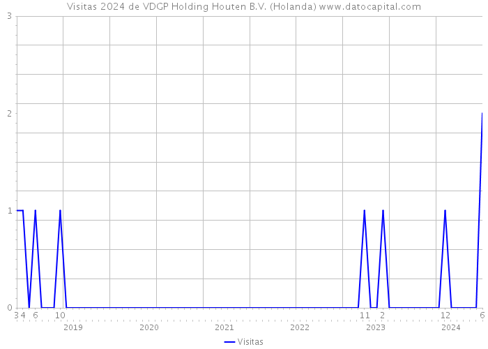 Visitas 2024 de VDGP Holding Houten B.V. (Holanda) 