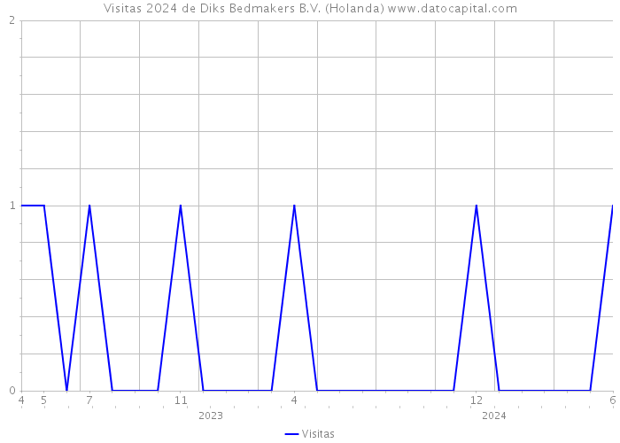 Visitas 2024 de Diks Bedmakers B.V. (Holanda) 