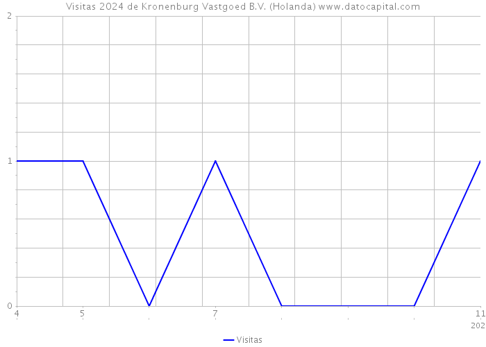 Visitas 2024 de Kronenburg Vastgoed B.V. (Holanda) 