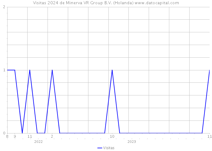 Visitas 2024 de Minerva VR Group B.V. (Holanda) 