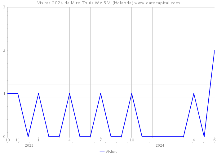 Visitas 2024 de Miro Thuis Wlz B.V. (Holanda) 