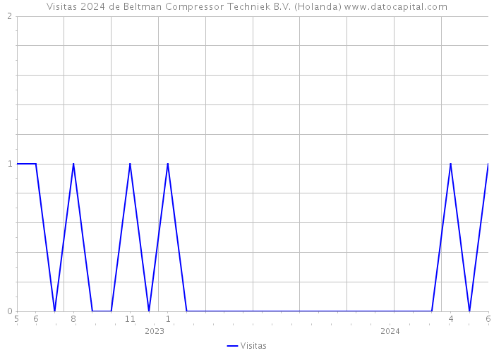 Visitas 2024 de Beltman Compressor Techniek B.V. (Holanda) 