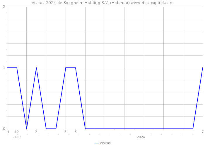 Visitas 2024 de Boegheim Holding B.V. (Holanda) 