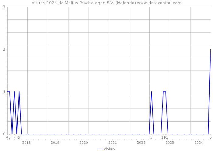 Visitas 2024 de Melius Psychologen B.V. (Holanda) 