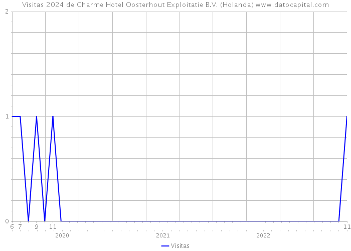 Visitas 2024 de Charme Hotel Oosterhout Exploitatie B.V. (Holanda) 