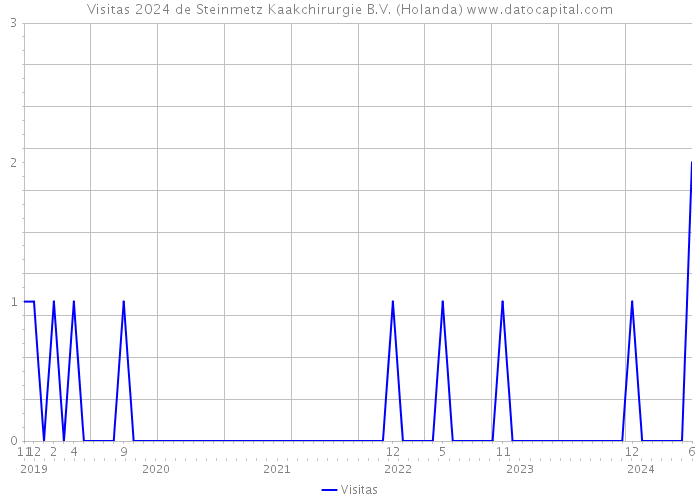 Visitas 2024 de Steinmetz Kaakchirurgie B.V. (Holanda) 