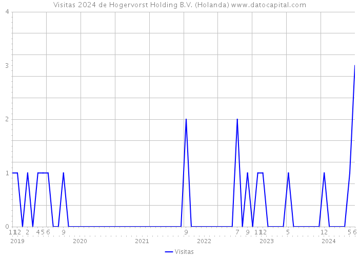 Visitas 2024 de Hogervorst Holding B.V. (Holanda) 