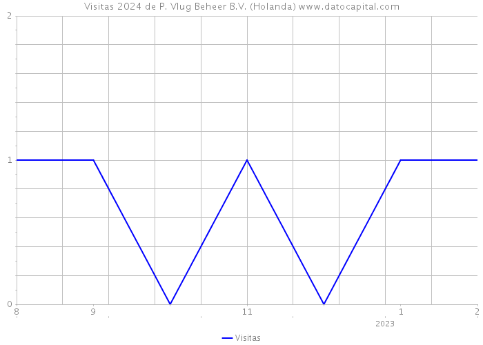 Visitas 2024 de P. Vlug Beheer B.V. (Holanda) 