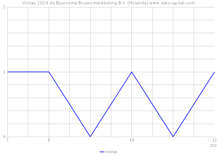 Visitas 2024 de Buursema Bouwontwikkeling B.V. (Holanda) 