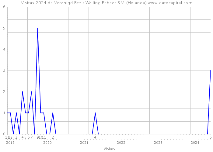Visitas 2024 de Verenigd Bezit Welling Beheer B.V. (Holanda) 