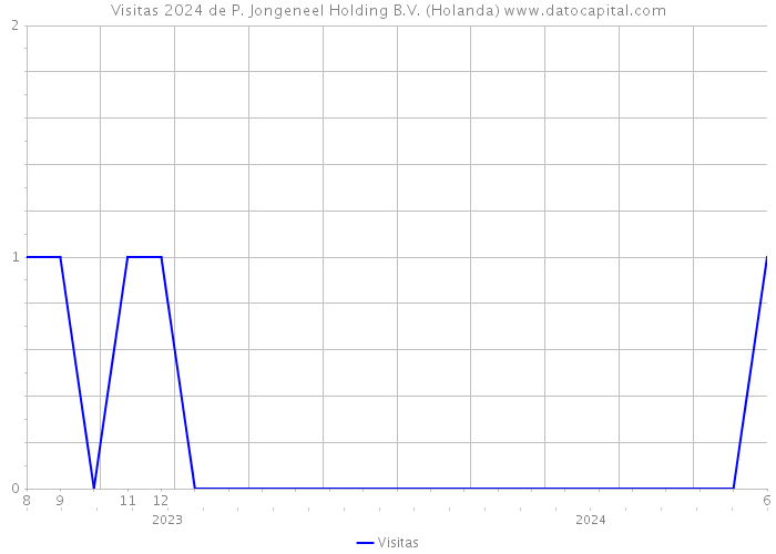 Visitas 2024 de P. Jongeneel Holding B.V. (Holanda) 