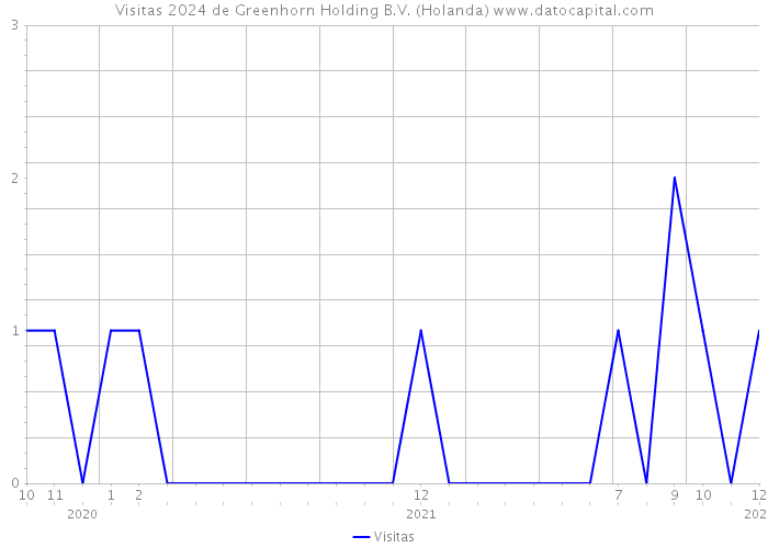 Visitas 2024 de Greenhorn Holding B.V. (Holanda) 