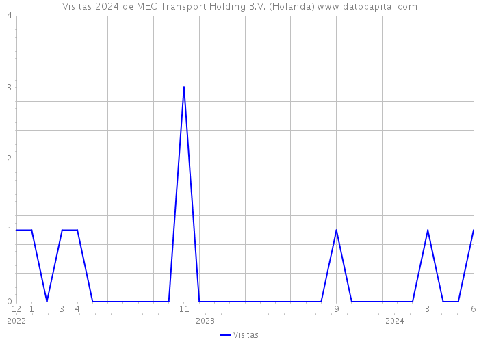 Visitas 2024 de MEC Transport Holding B.V. (Holanda) 