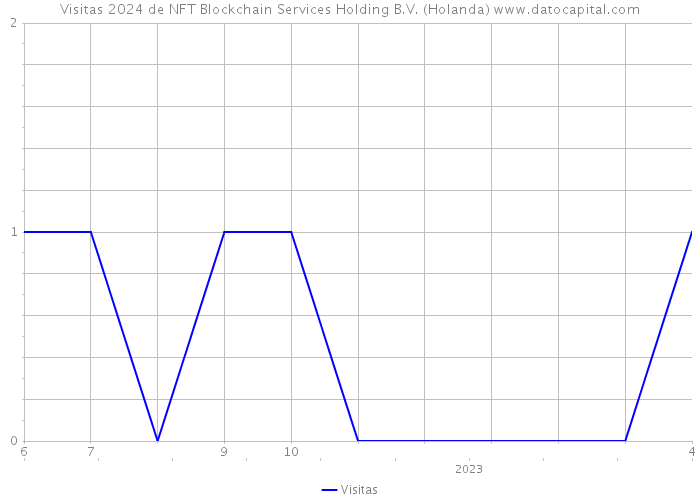 Visitas 2024 de NFT Blockchain Services Holding B.V. (Holanda) 