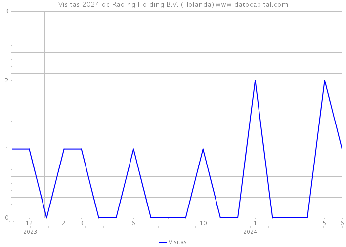 Visitas 2024 de Rading Holding B.V. (Holanda) 