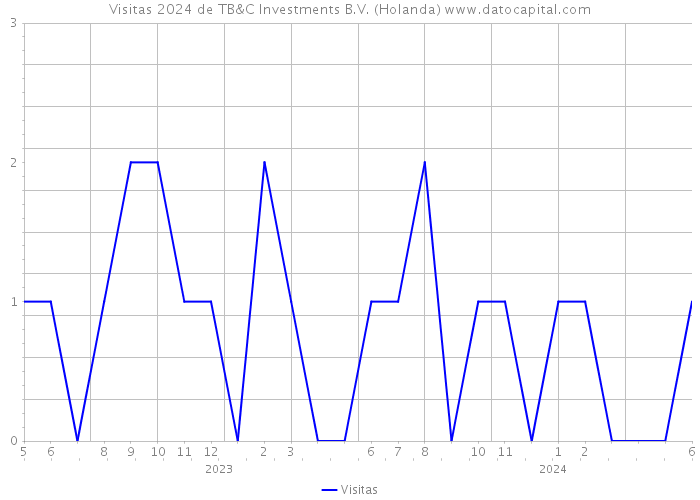 Visitas 2024 de TB&C Investments B.V. (Holanda) 