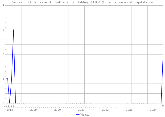 Visitas 2024 de Sealed Air Netherlands (Holdings) I B.V. (Holanda) 