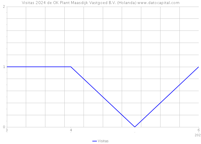 Visitas 2024 de OK Plant Maasdijk Vastgoed B.V. (Holanda) 