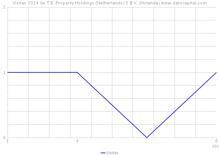 Visitas 2024 de T.E. Property Holdings (Netherlands) 5 B.V. (Holanda) 