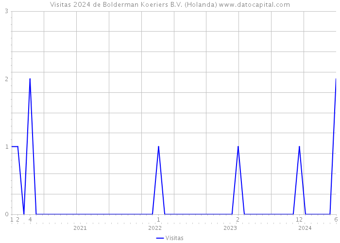 Visitas 2024 de Bolderman Koeriers B.V. (Holanda) 