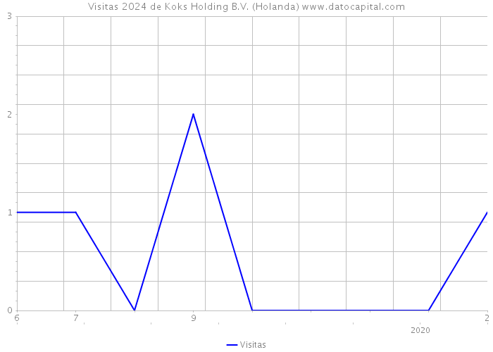 Visitas 2024 de Koks Holding B.V. (Holanda) 