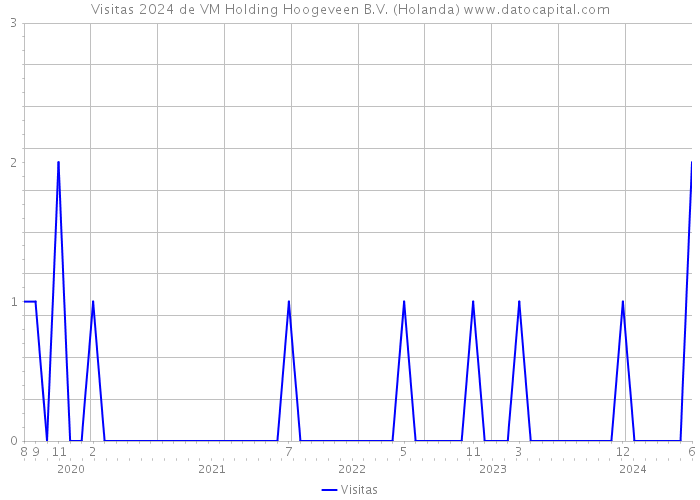 Visitas 2024 de VM Holding Hoogeveen B.V. (Holanda) 