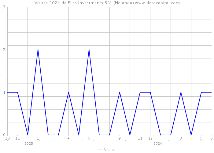 Visitas 2024 de Bliss Investments B.V. (Holanda) 