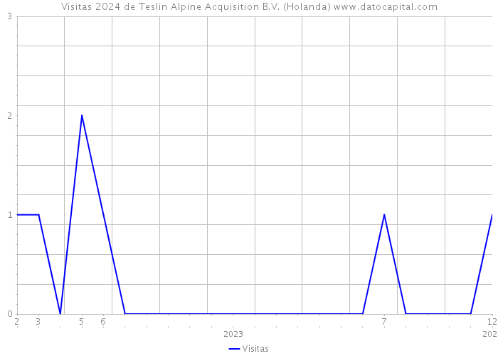 Visitas 2024 de Teslin Alpine Acquisition B.V. (Holanda) 