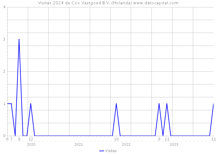 Visitas 2024 de Cox Vastgoed B.V. (Holanda) 