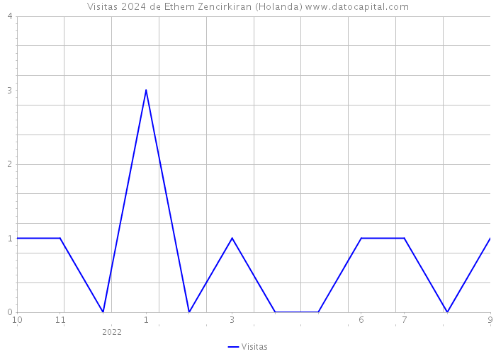 Visitas 2024 de Ethem Zencirkiran (Holanda) 