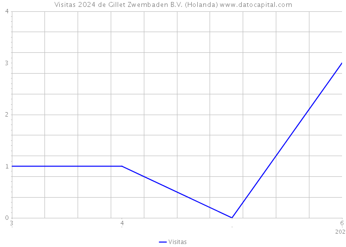 Visitas 2024 de Gillet Zwembaden B.V. (Holanda) 