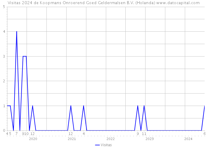 Visitas 2024 de Koopmans Onroerend Goed Geldermalsen B.V. (Holanda) 