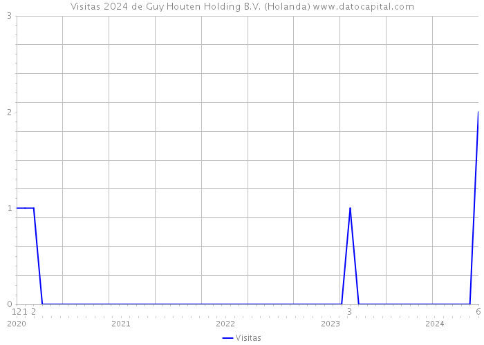 Visitas 2024 de Guy Houten Holding B.V. (Holanda) 