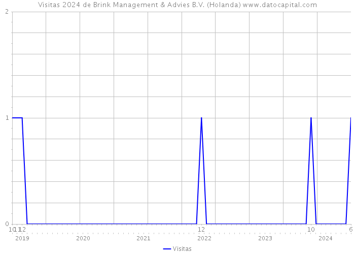 Visitas 2024 de Brink Management & Advies B.V. (Holanda) 