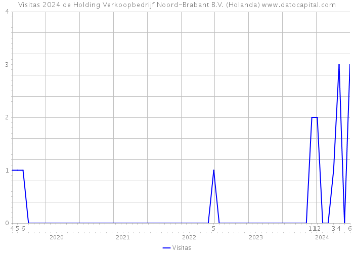 Visitas 2024 de Holding Verkoopbedrijf Noord-Brabant B.V. (Holanda) 