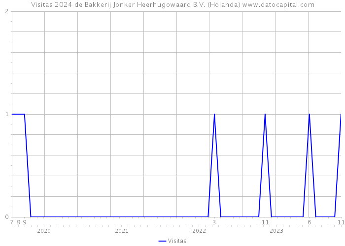 Visitas 2024 de Bakkerij Jonker Heerhugowaard B.V. (Holanda) 