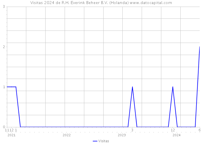 Visitas 2024 de R.H. Everink Beheer B.V. (Holanda) 