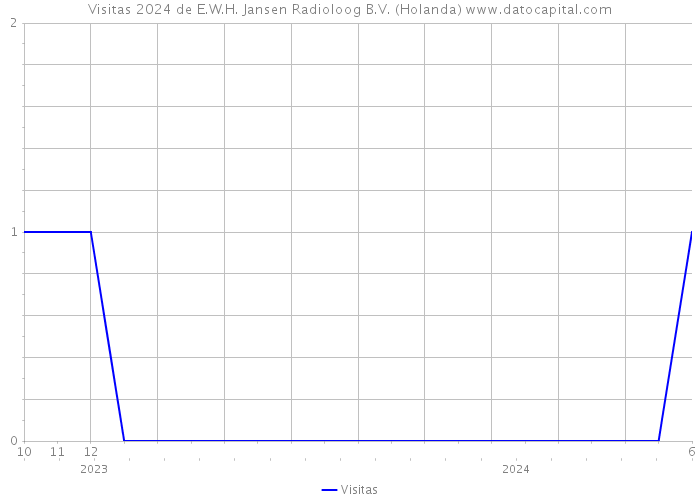 Visitas 2024 de E.W.H. Jansen Radioloog B.V. (Holanda) 