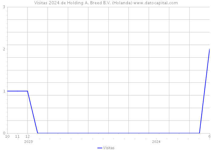 Visitas 2024 de Holding A. Breed B.V. (Holanda) 