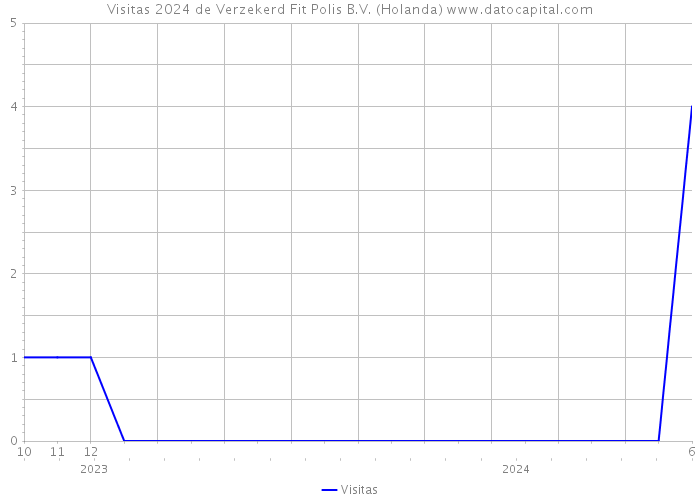 Visitas 2024 de Verzekerd Fit Polis B.V. (Holanda) 