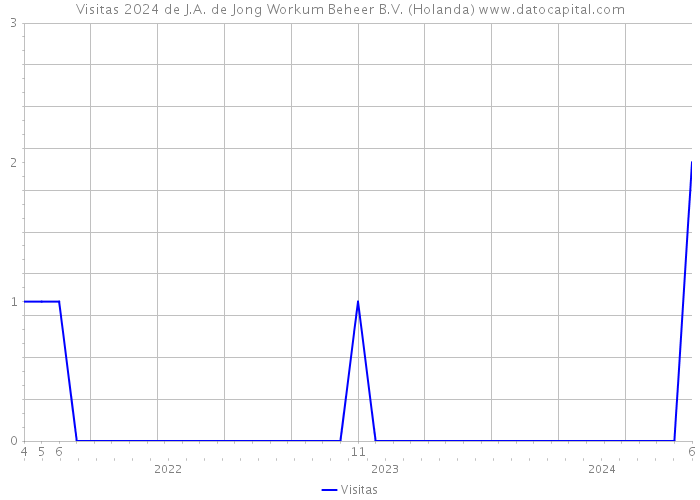 Visitas 2024 de J.A. de Jong Workum Beheer B.V. (Holanda) 